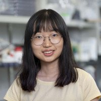 Dingyu Liu