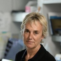 Georgina Berrozpe