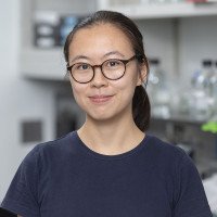Jielin Yan