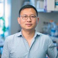 Xianming Wang